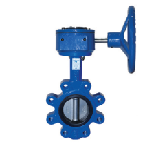Geared Lug Type EPDM Sealed Butterfly Valve