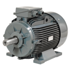 GAMAK GM2E 55 KW 1500 DD (GM2E 250 M 4A)