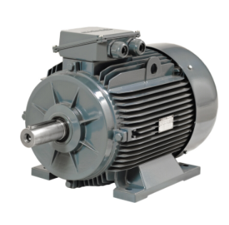 GAMAK GM2E 18.5 KW 3000 DD (GM2E 160 L 2C)