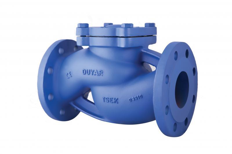 Spring Check Valve