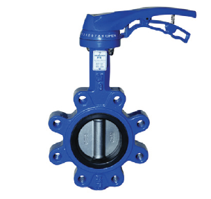 Lug Tip EPDM Contalı Kollu Kelebek Vana